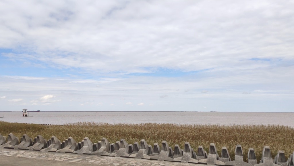 横沙岛江堤，左下角是白房子